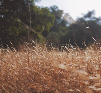 尤文图斯苦战晋级，存活希望