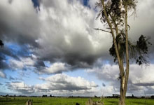 九游官网-关于欧洲强队对阵激战，胜负悬念引期待的信息