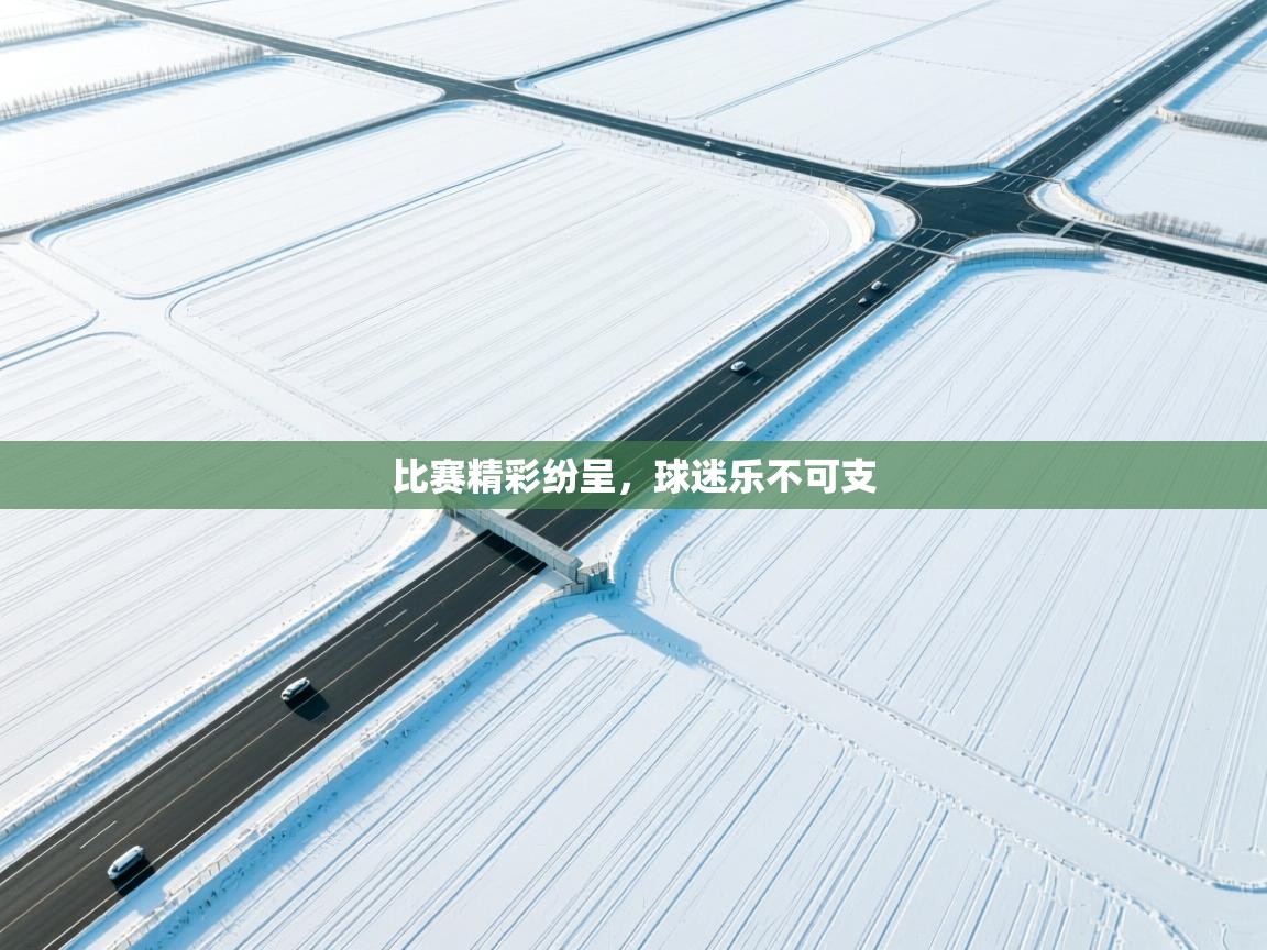 比赛精彩纷呈，球迷乐不可支  第1张